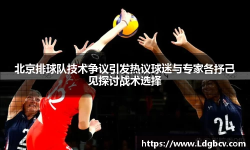 北京排球队技术争议引发热议球迷与专家各抒己见探讨战术选择